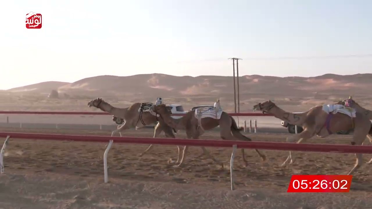 ش 4 (الهارب) لـ سعيد اللويهي بن سعيد الحرسوسي 9:13 ، شارة الديوان 2026/2/15 إيذاع الساد