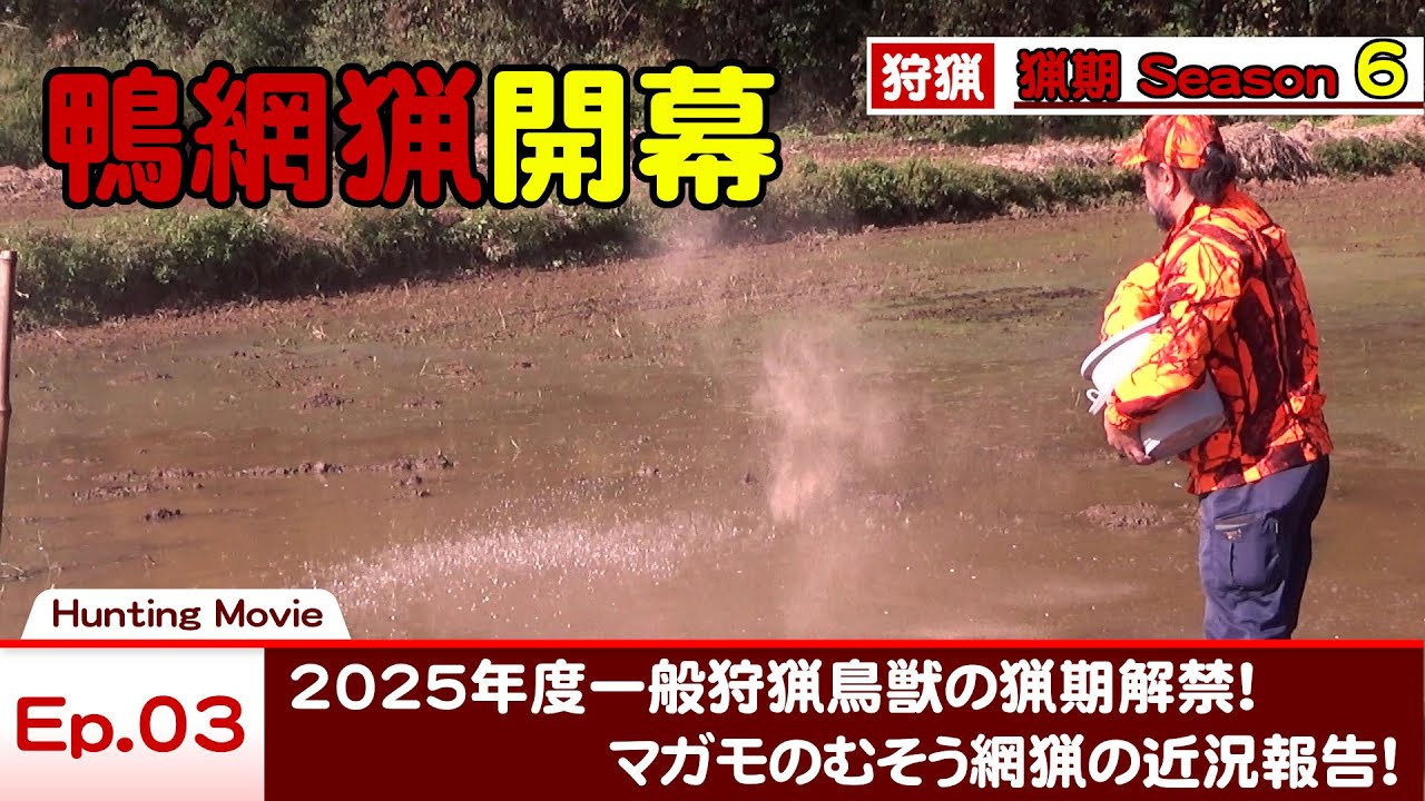 【猟期 シーズン 6】Ep03 鴨網猟始まる！2025年度一般狩猟鳥獣の狩猟解禁！ むそう網猟の近況報告！【鴨】【マガモ】【網猟】【無双網】