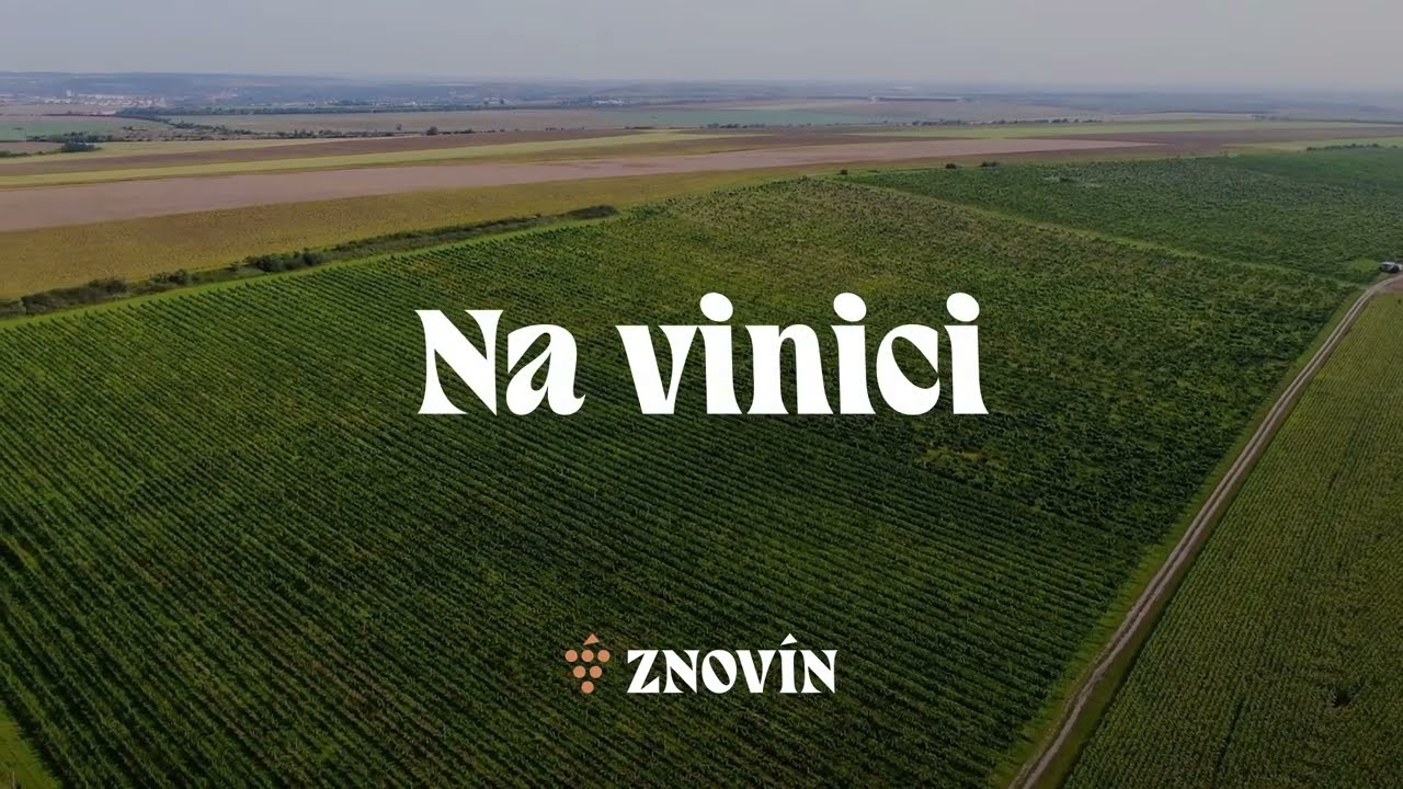 Znovín - viniční trať Na vinici