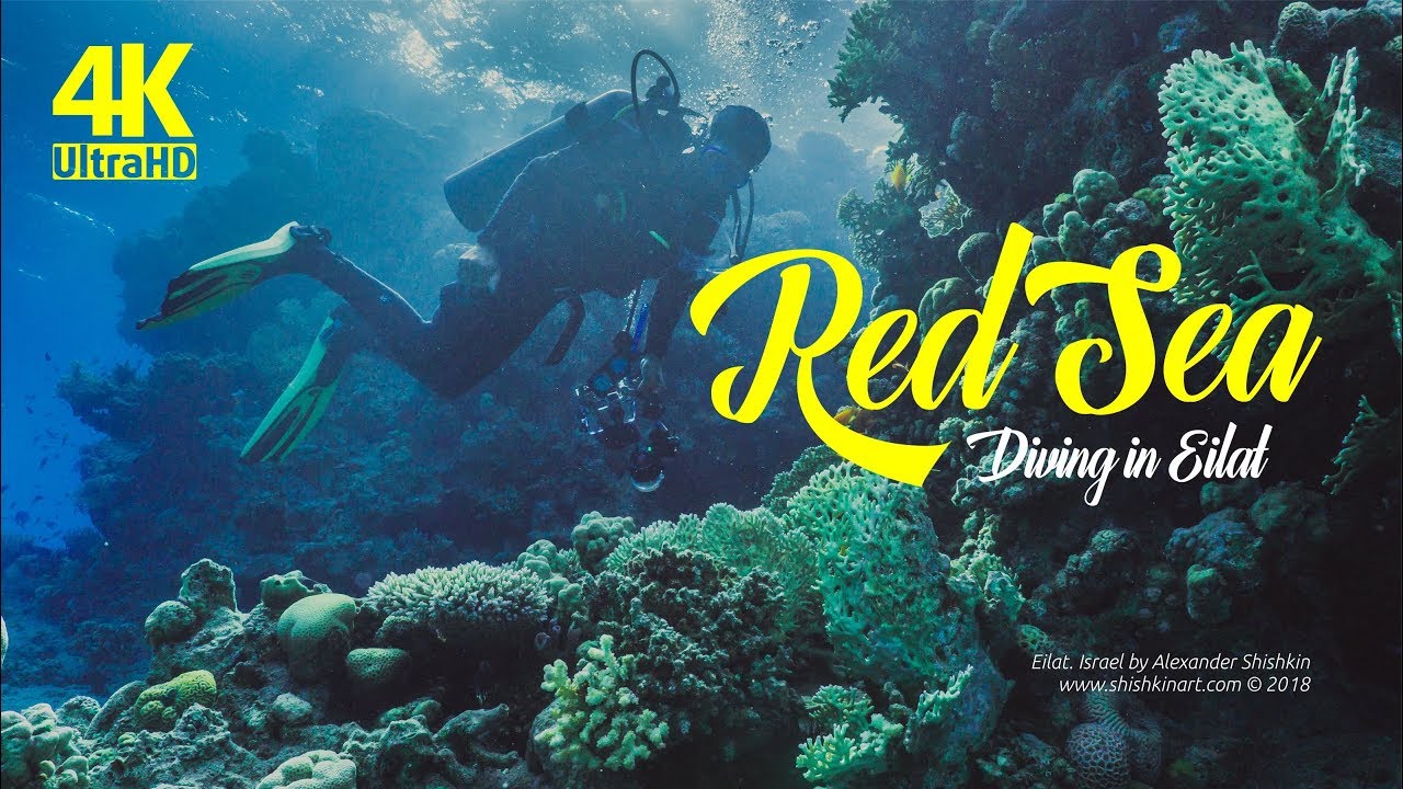 Red Sea, Israel 4K UHD • Diving in Eilat