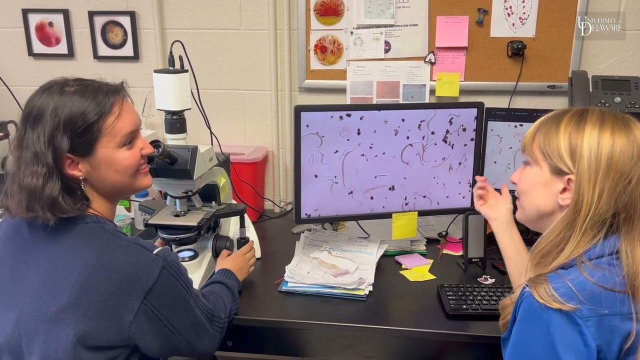 Plant Diagnostic Clinic UD Giving