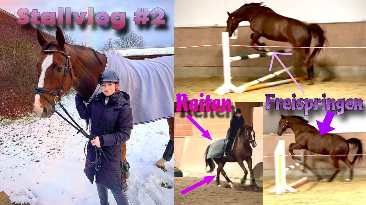 🐴Ein kalter Sonntag mit mir am Stall + Freispringen 🫣🐎Stallvlog #2|Seelenpferd99