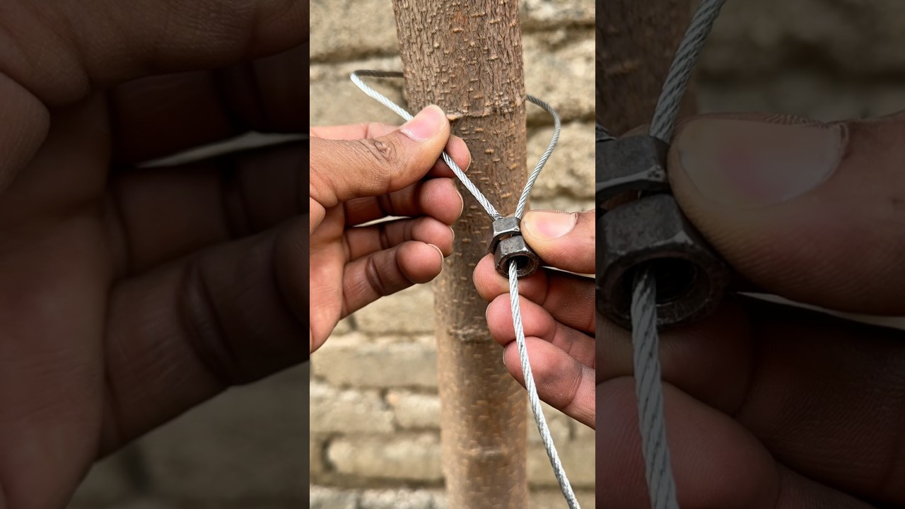 You Always Trust This Knot !