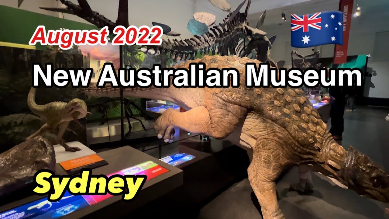 [Australian Museum] Free Entrance.Dinosaurs are amazing !#australianmuseum#dinosaur #sydney#シドニーガイド