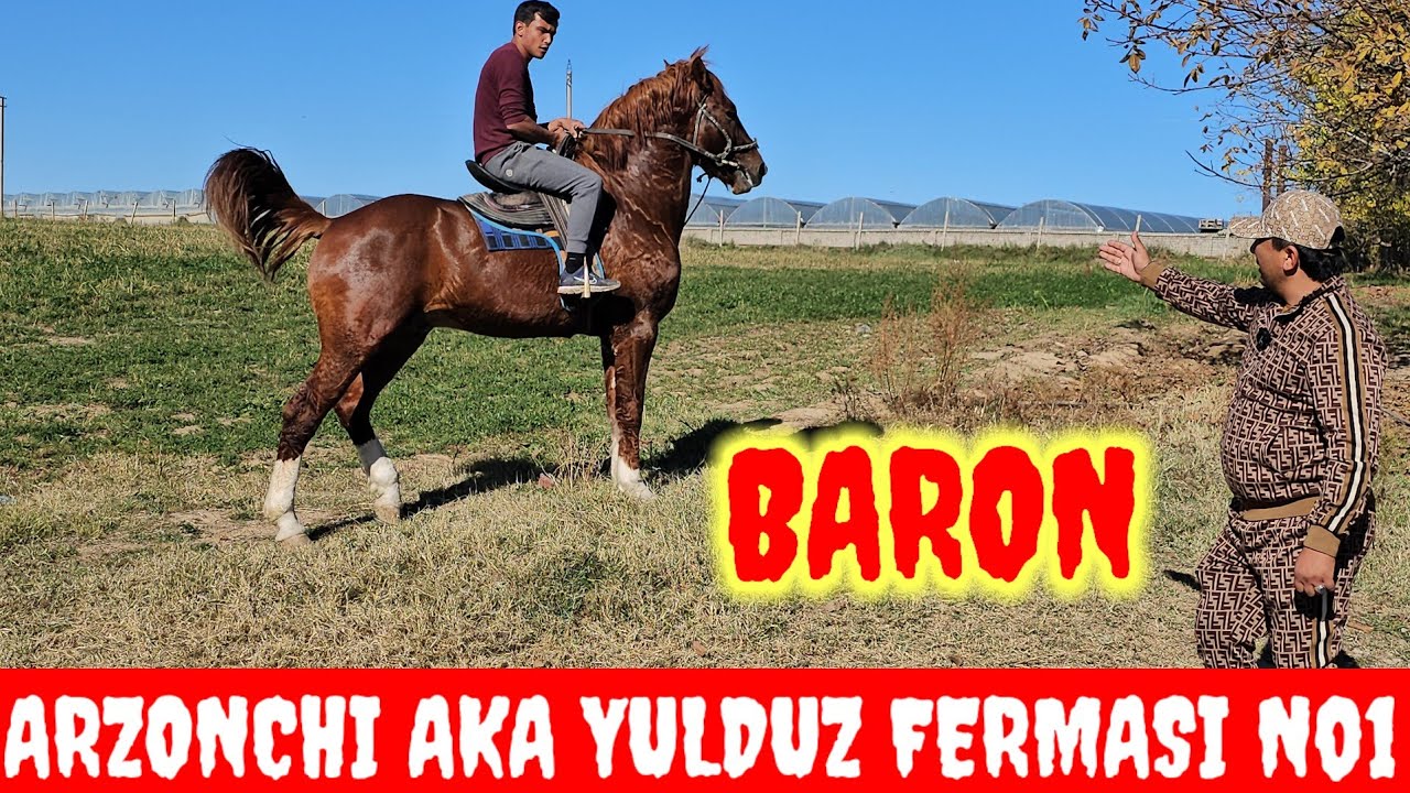 ARZONCHI AKA FERMASI.OT SOTILADI ULOG‘I BOR LAQABI 💥BARON💥 ☎️991064444 ☎️991054707