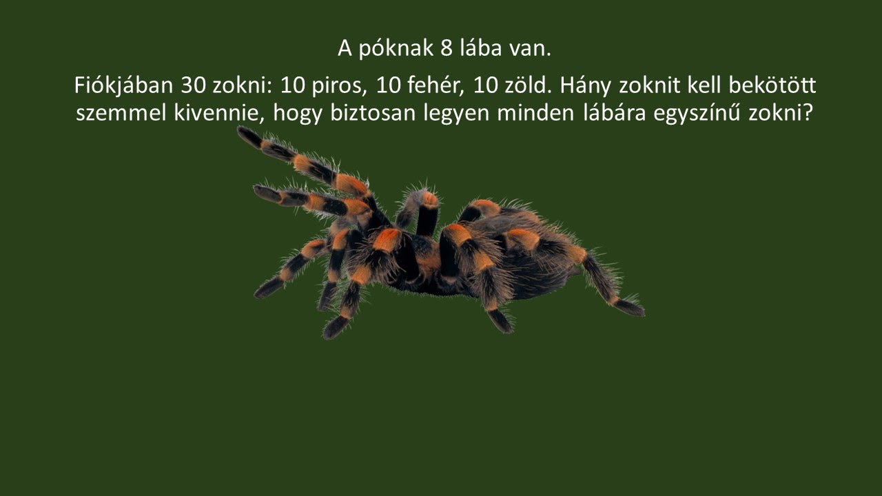 SKATULYAELV