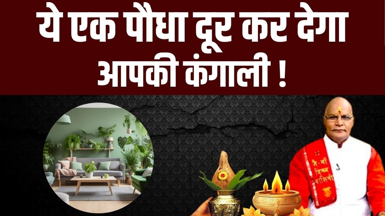 ये एक पौधा दूर कर देगा आपकी कंगाली ! | Pandit Suresh Pandey | Darshan24