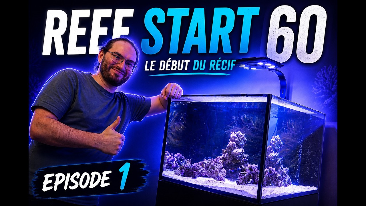 On d&eacute;marre un Reef Start 60
