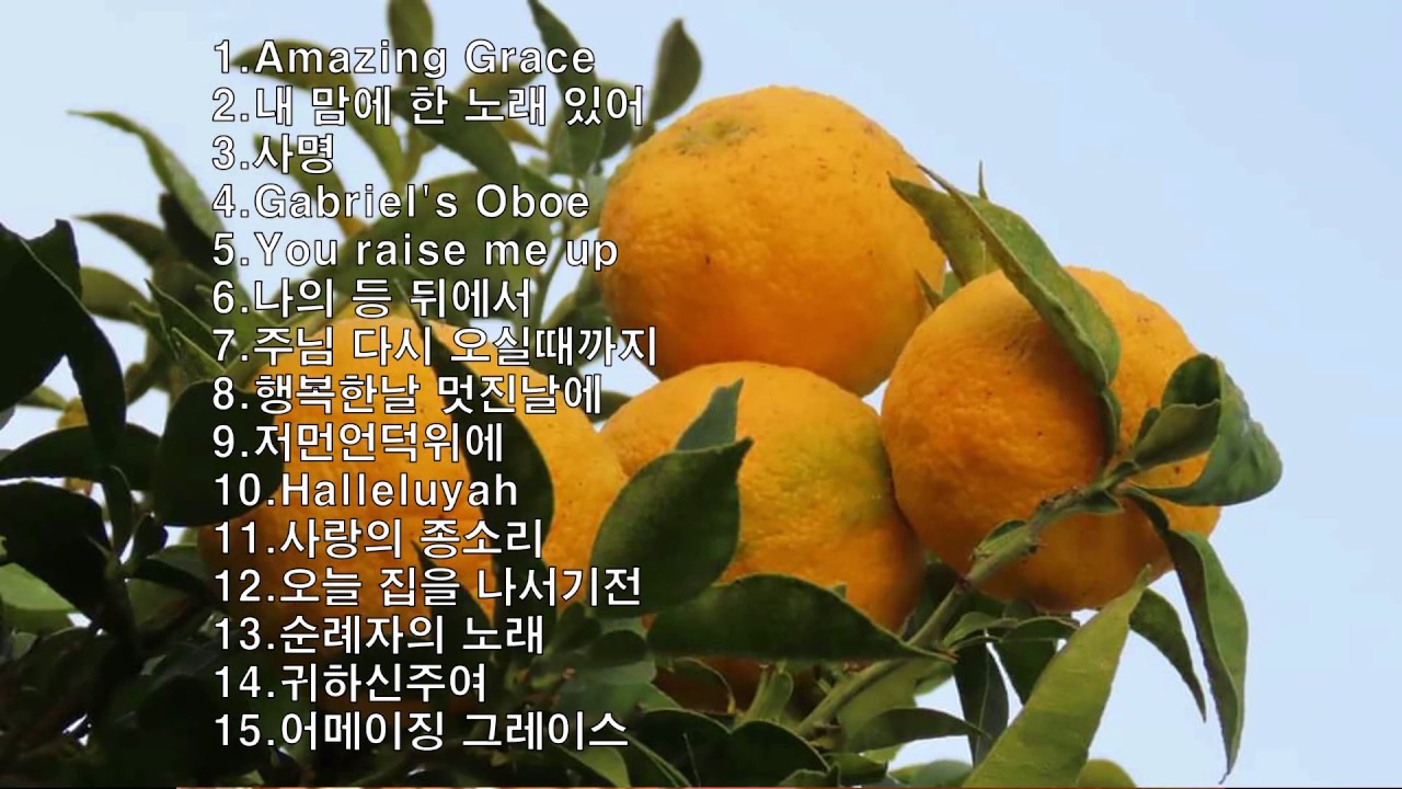 하모니카성가모음1/ 이각종하모니카성가/hymn collect songs no1/사명,나같은죄인살리신,주님다시오실때까지....