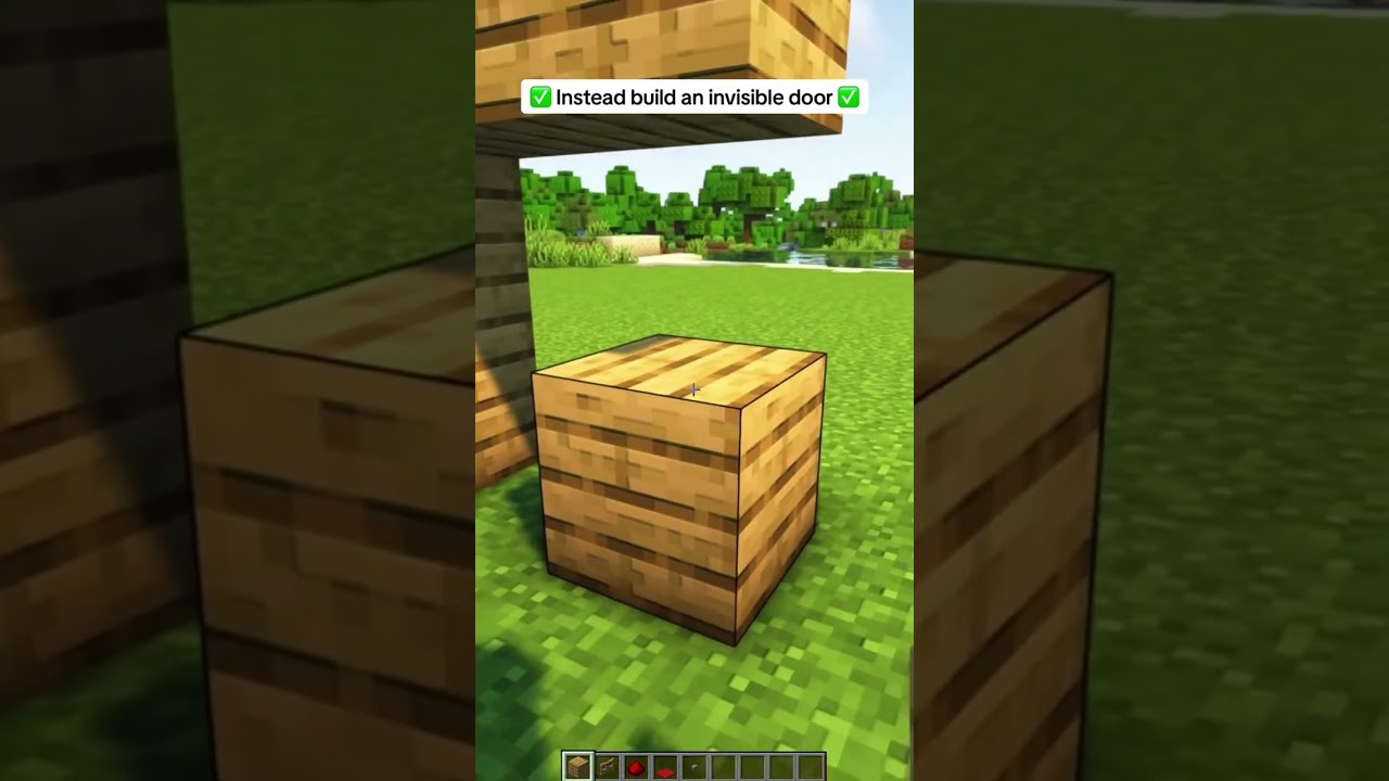 INVISIBLE Door Trick for Minecraft! #shorts #minecraft