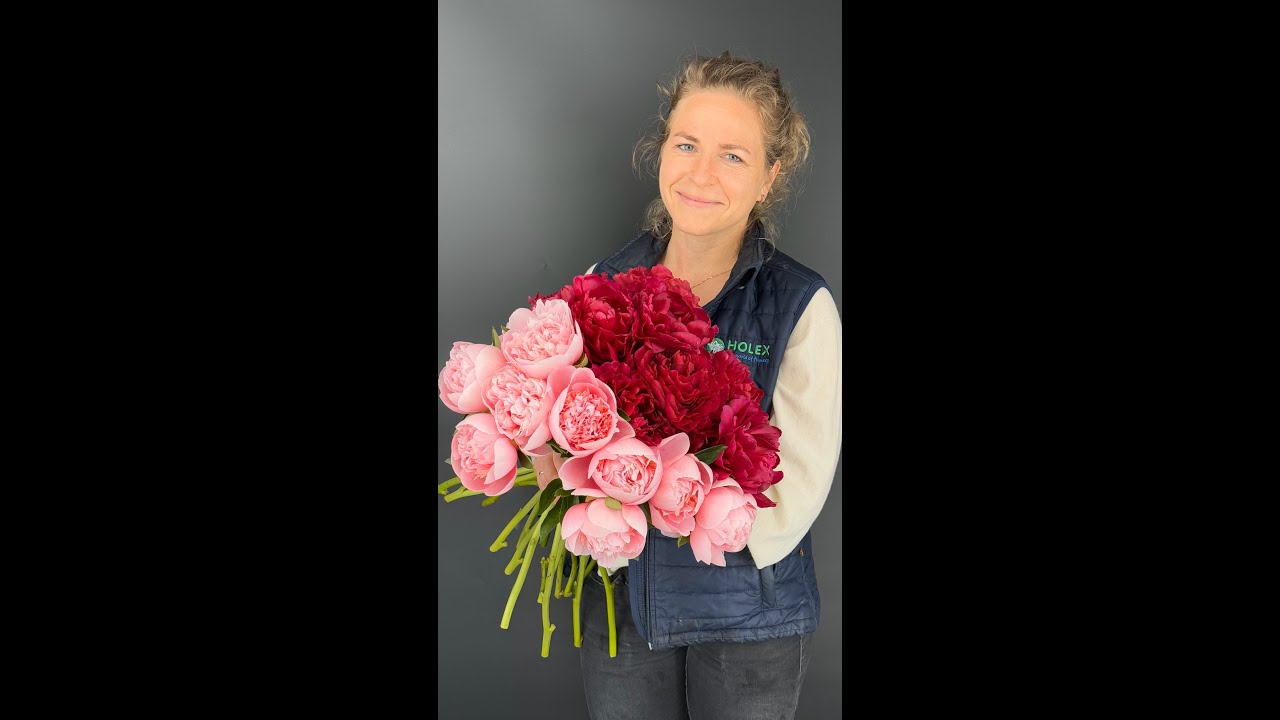 Peony showcase- The Queen of Flowers, explained by an expert!