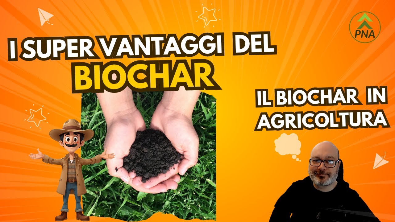 Il Biochar: vantaggi incredibili per suolo e piante
