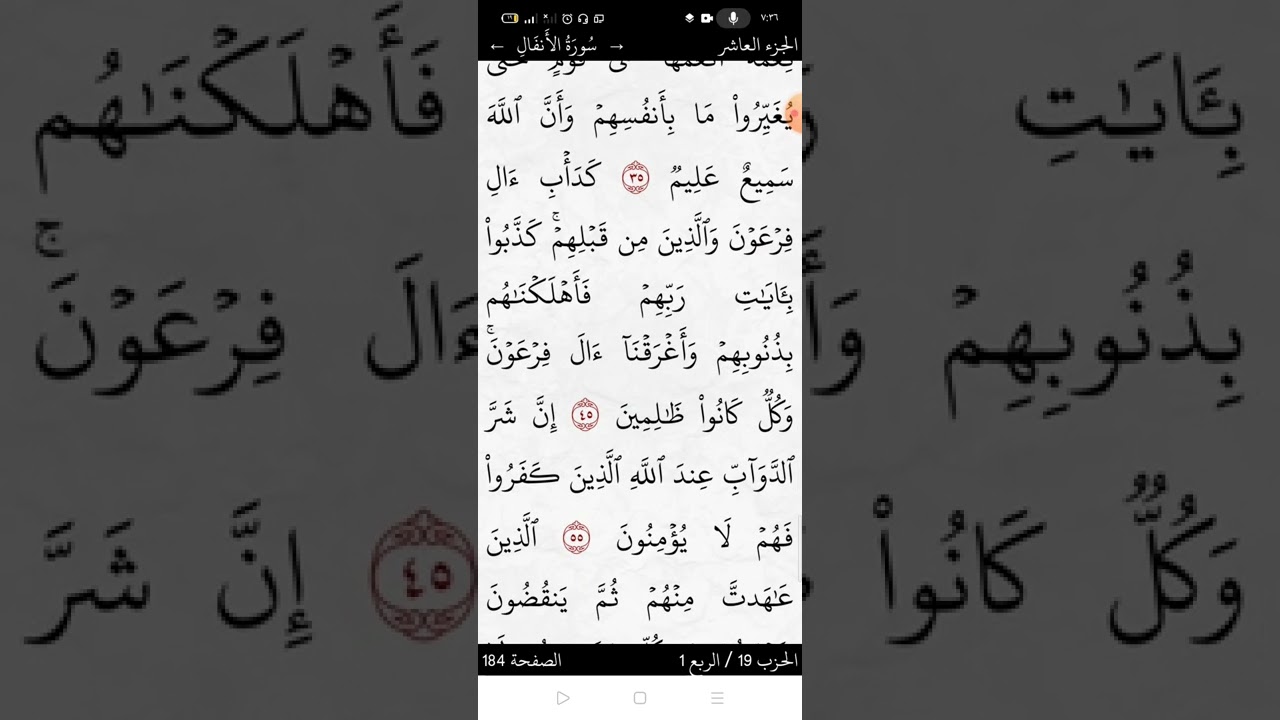 سورة الأنفال صفحة (١٨٤)