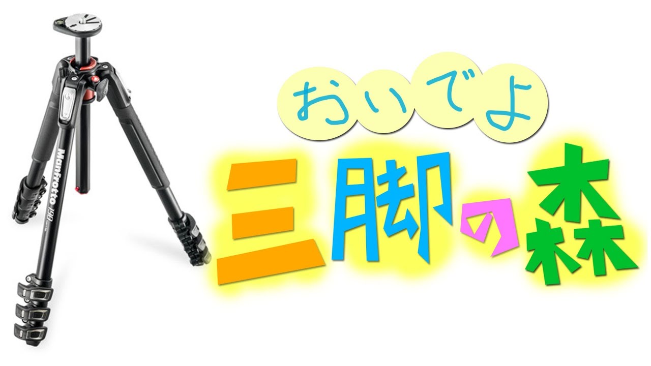 【おいでよ 三脚の森】マンフロットの三脚がもう１台欲しくて迷っています。