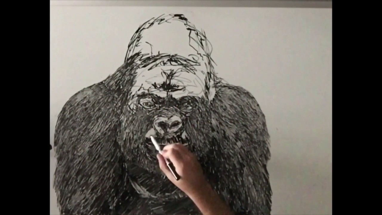 Gorilla on Whiteboard | Dry Erase Marker Art by Florida-based Artist
