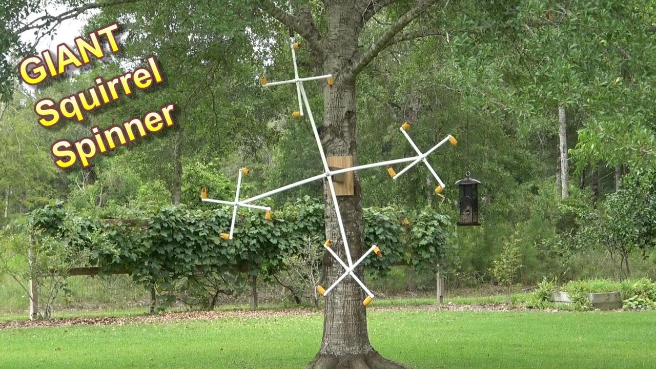 GIANT Squirrel Twirler / Spinner - Ninja Squirrel has a Blast :-)