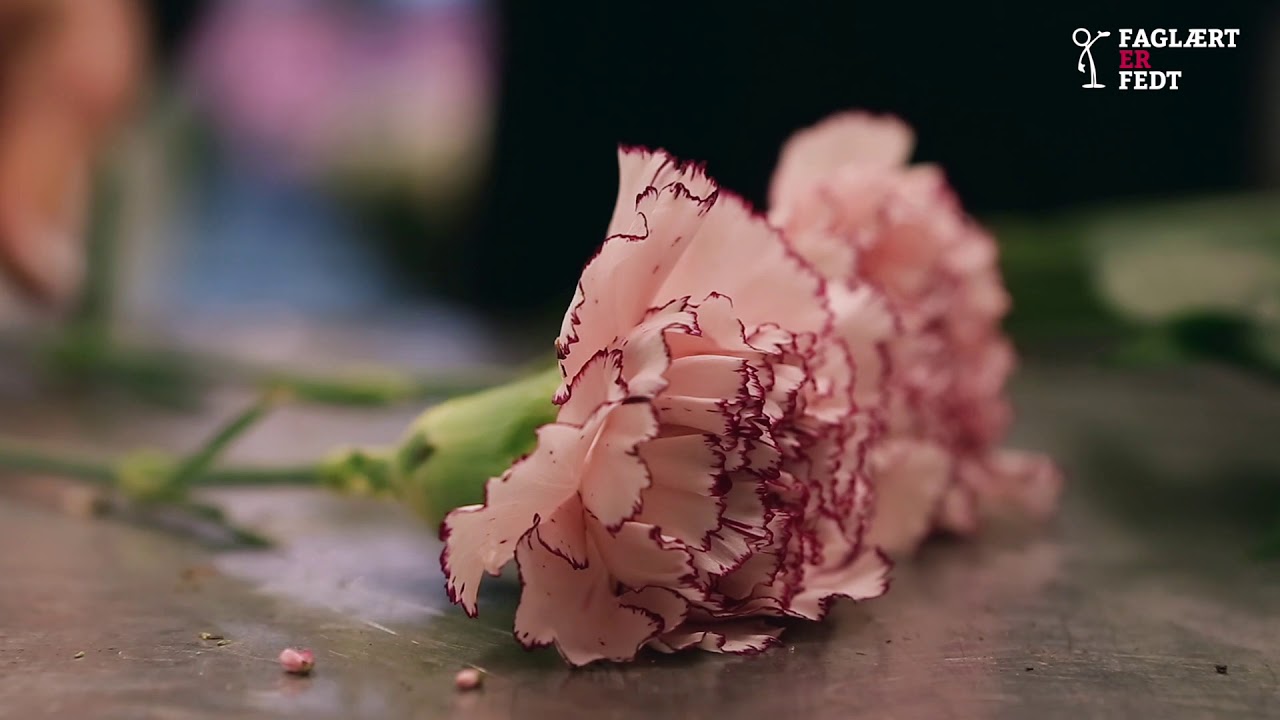 Tone - Blomsterdekorat&oslash;r - Fagl&aelig;rt er fedt