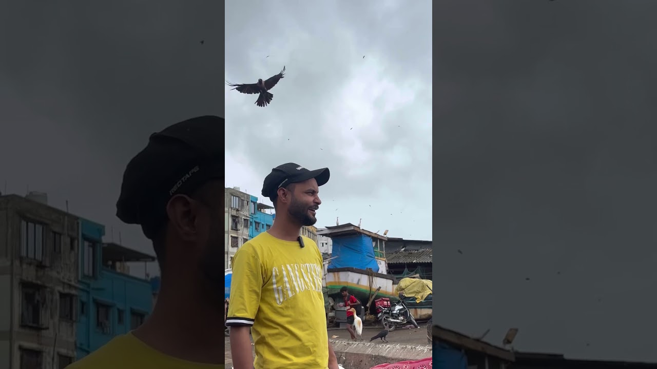 Crow prank #deepaktilli
