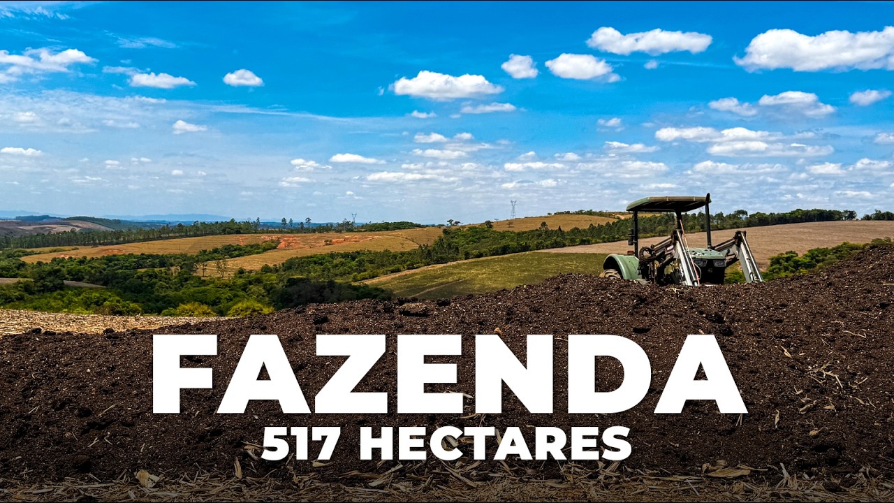 FAZENDA 517 HECTARES, DUPLA APTIDÃO, LOCALIZAÇÃO ESTRATÉGICA E MUITA ÁGUA