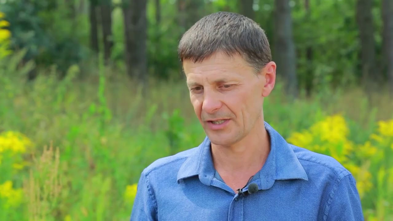 Як ефективно боротися з багаторічними бур`янами