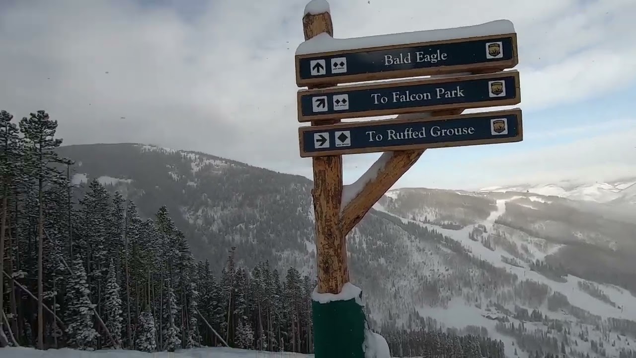 Skiing Beaver Creek - Bald Eagle - 01/16/2023 POWPOW Day