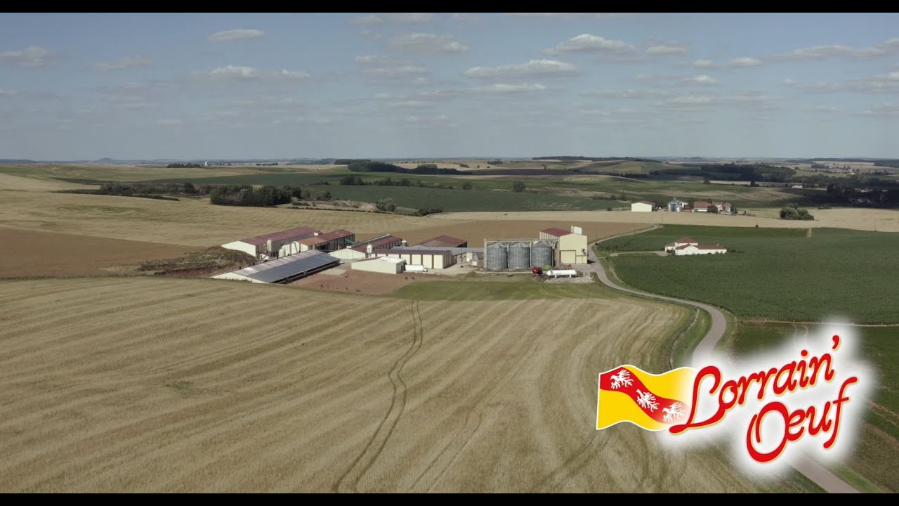 LORRAIN'OEUF - Producteur d’œufs - Bures (54)