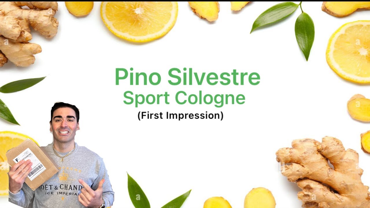Pino Silvestre 