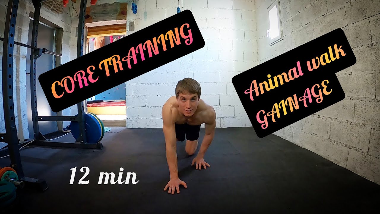 🐵 ANIMAL WALK CORE GAINAGE