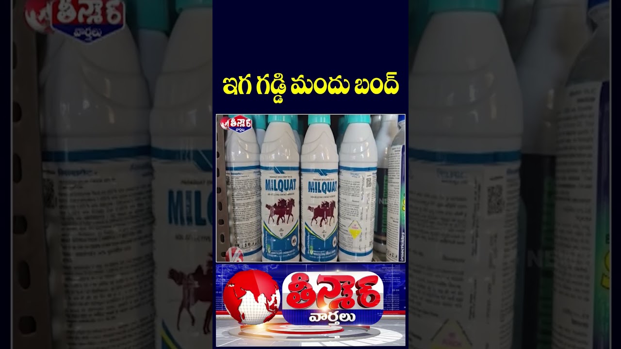 Telangana Imposes 60 Day Ban On Paraquat Pesticide | V6 Teenmaar