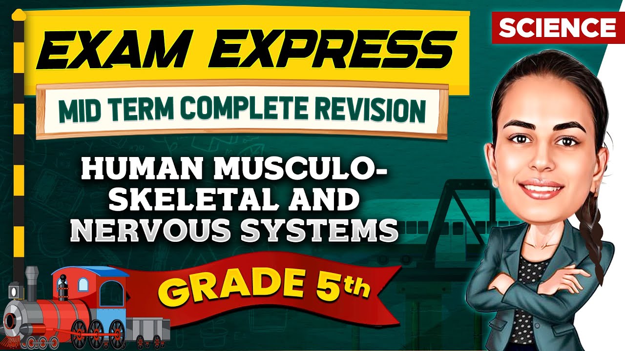 Human Musculo-Skeletal System || Midterm Revision For Class 5th || Exam Express
