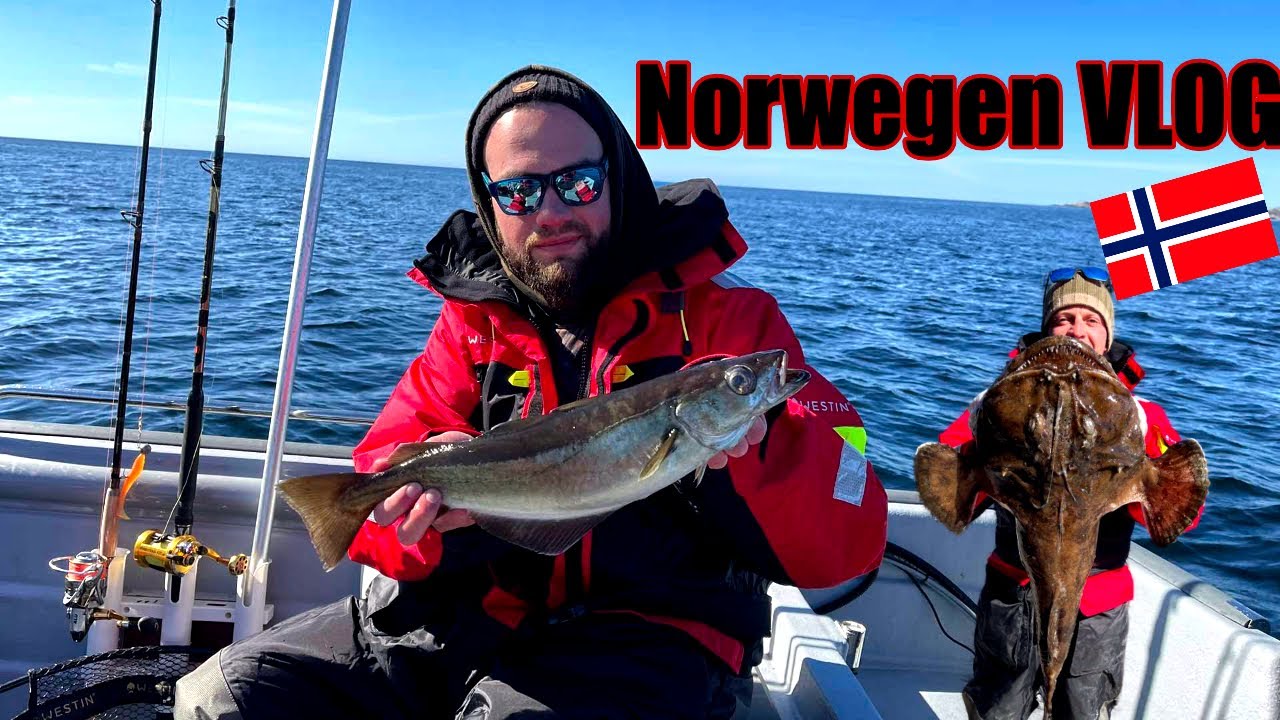Angeln und Entspannen in Norwegen | Norwegen 2025 | Norwegen VLOG