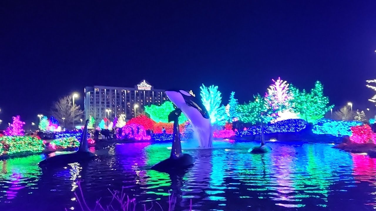 Luces TULALIP Resort C #shorts #lights#luces #viral#viajes