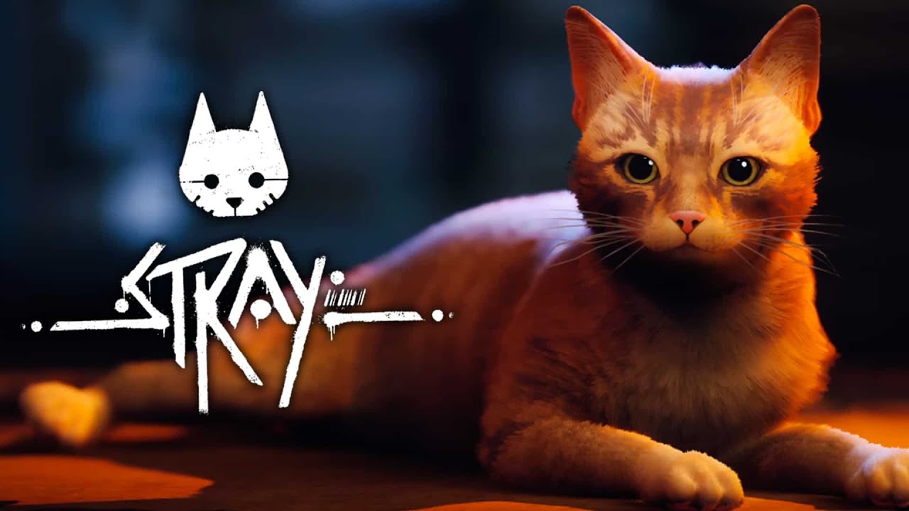 Macskázzunk |Stray #1