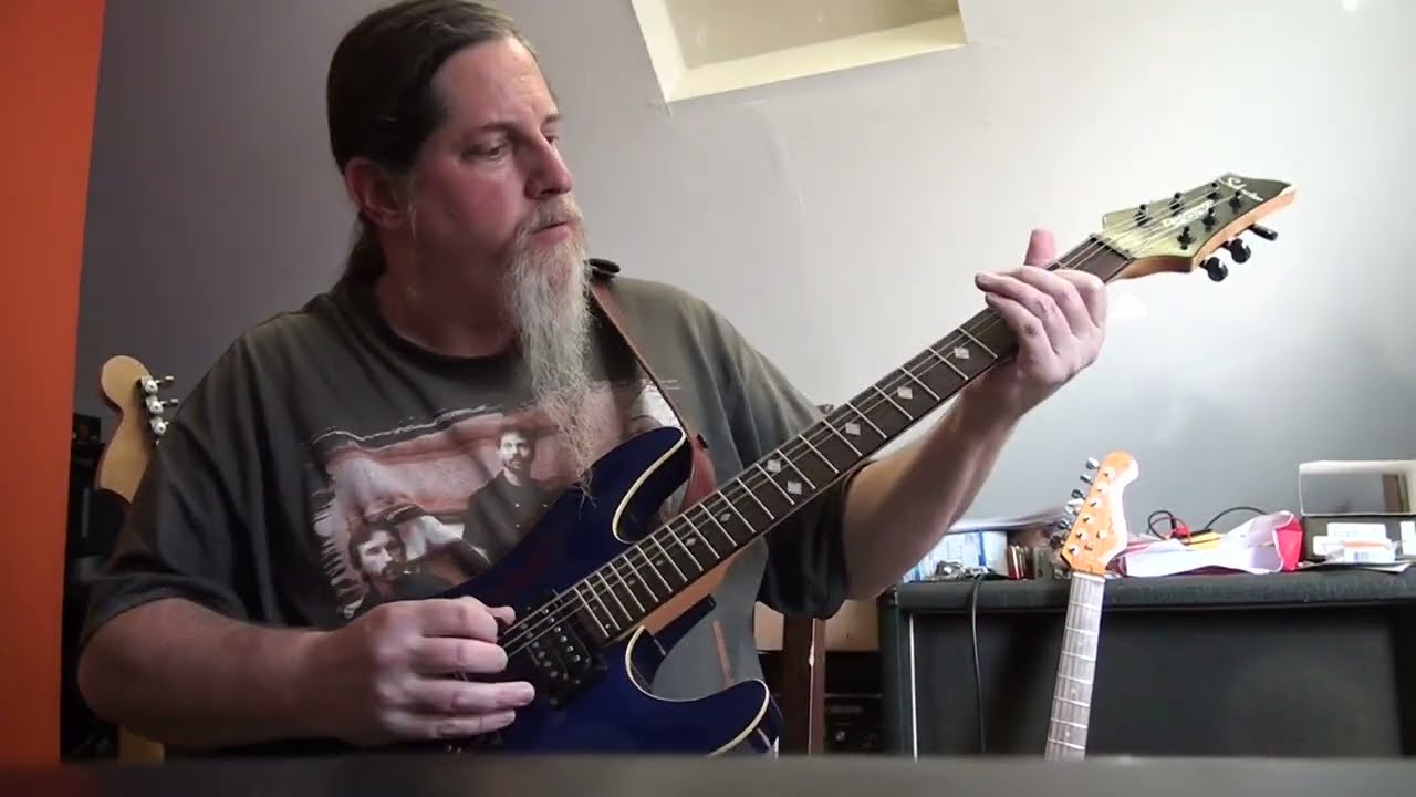 Schecter Diamond Series C-1 Review