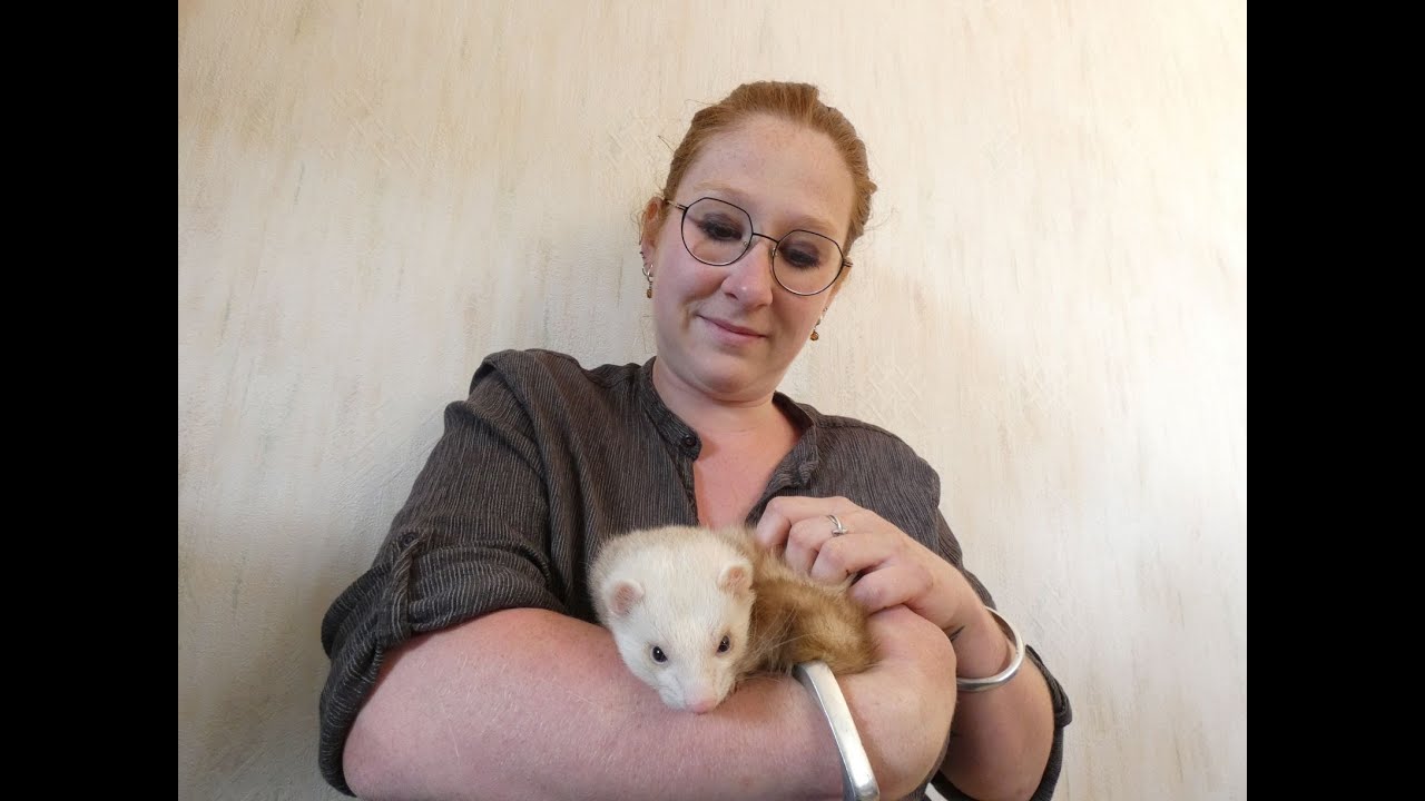 La médiation animale portée par Margot en Lozère et alentours