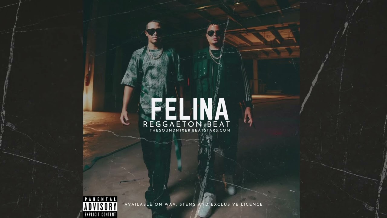 Luny Tunes ❌ Type Beat "FELINA" Reggaeton Beat Old School 2025