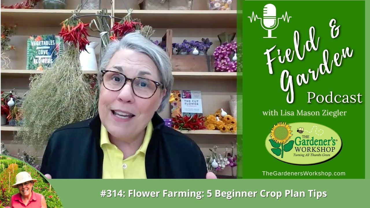 Field & Garden #314: Flower Farming: 5 Beginner Crop Plan Tips