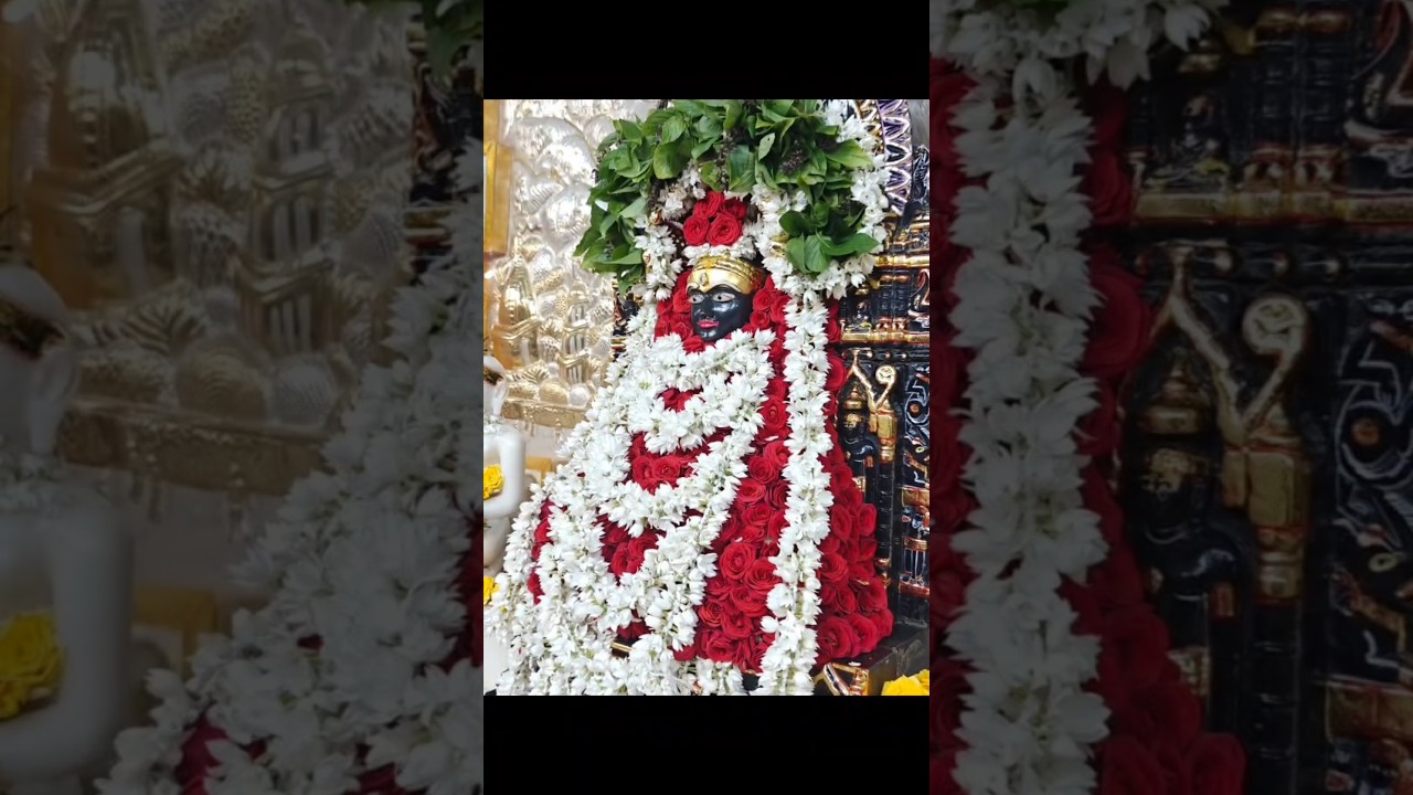 Flowers Aangi🌸 
