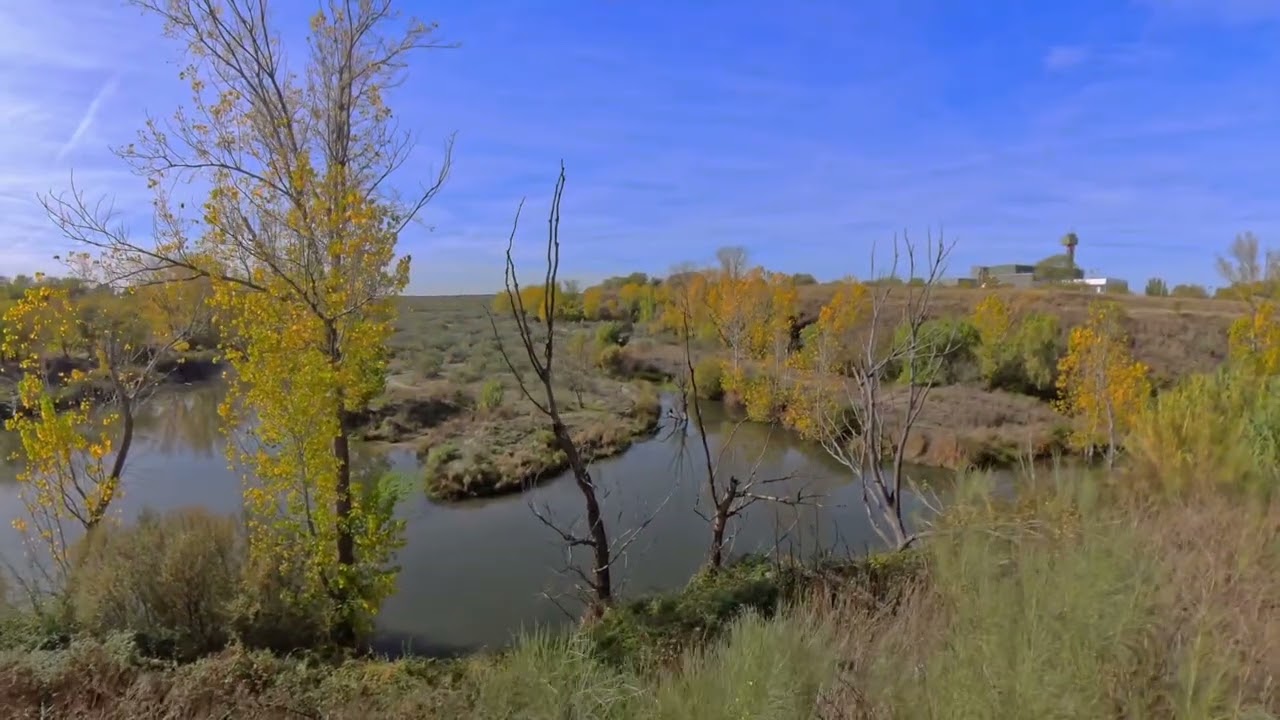 Otoño en laguna de valchico.