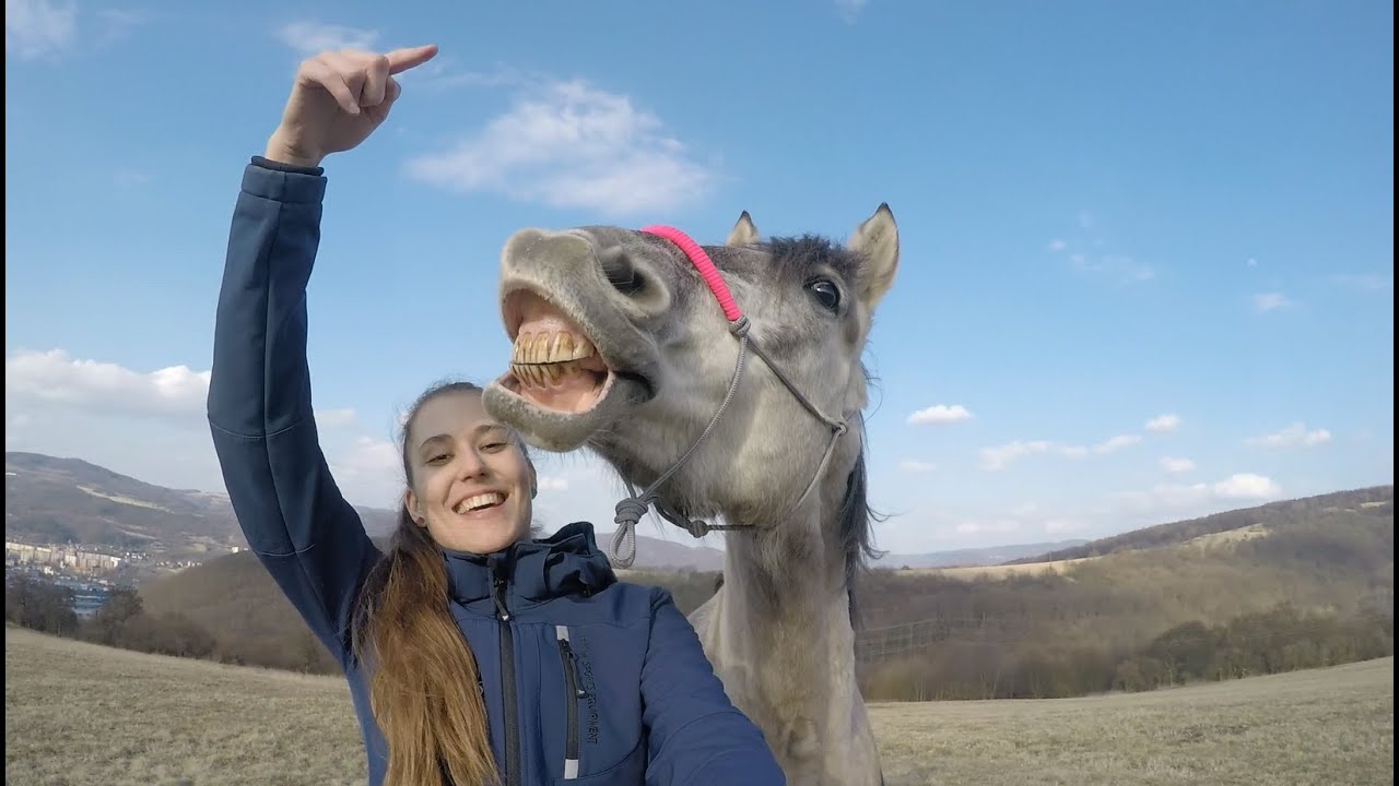 Když bojujeme sami se sebou //motivační speciál//