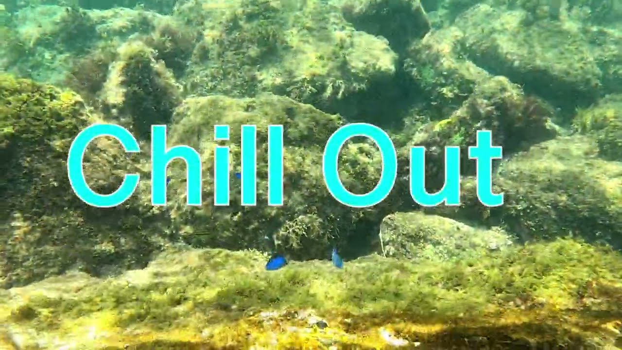 【Chillout】Vinyl only DJ MIx Vol.3
