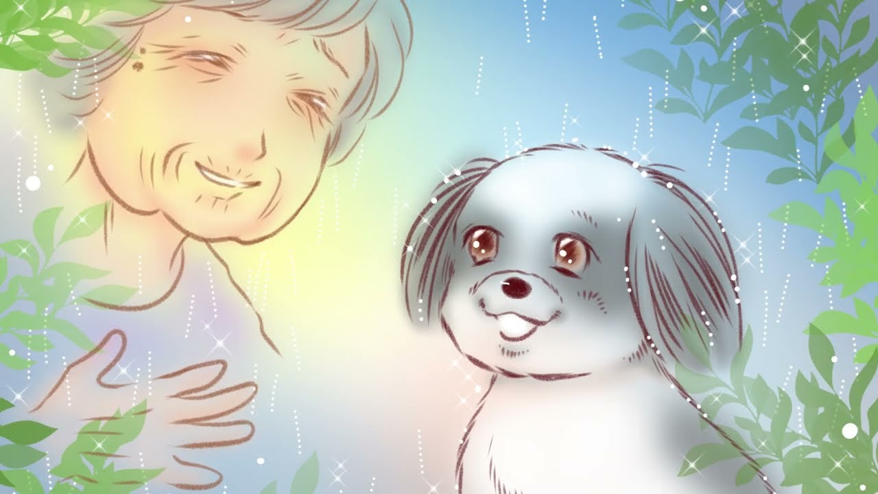 アニメ　ほご犬絵本「もしボクたちにしっぽがなかったら」その① おばあちゃんとわたし