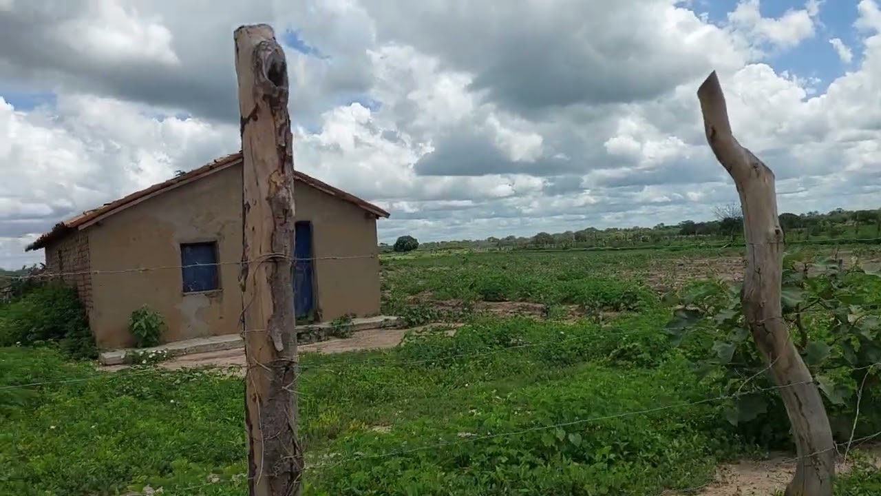 Mais uma Novidade do filme Dadinha do sertão  vejam  no vídeo, 
