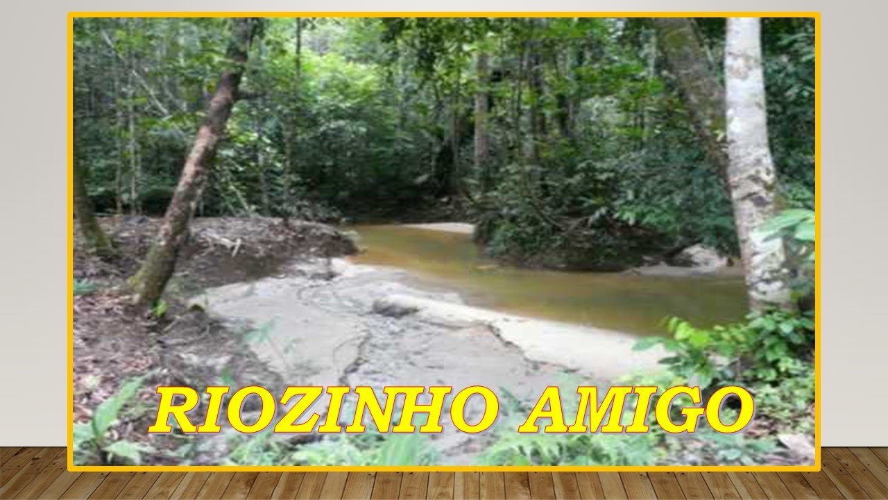 RIOZINHO AMIGO****JORGE LUIZ E FERNANDO-Compositor-Jos&eacute; Fortuna / Carlos Cesar