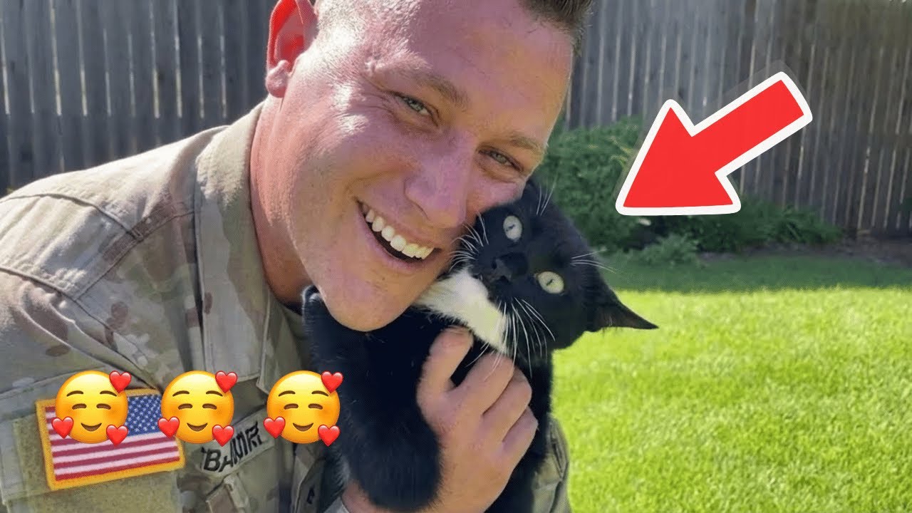 🥰🥰🥰After Years Apart, Soldier Dad Comes Home — His Cat Can’t Stop Showing Love