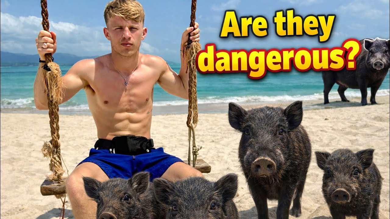 PIG ISLAND - Final day featuring Mum