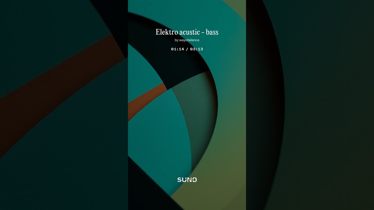 Elektro acustic   bass
