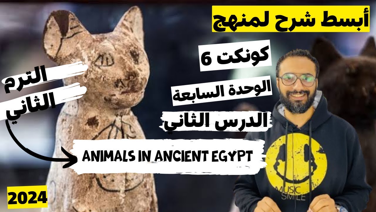 شرح منهج كونكت 😍 للصف السادس الترم الثاني 2024 الوحدة السابعة الدرس الثاني بأبسط أسلوب مستر انجليزي