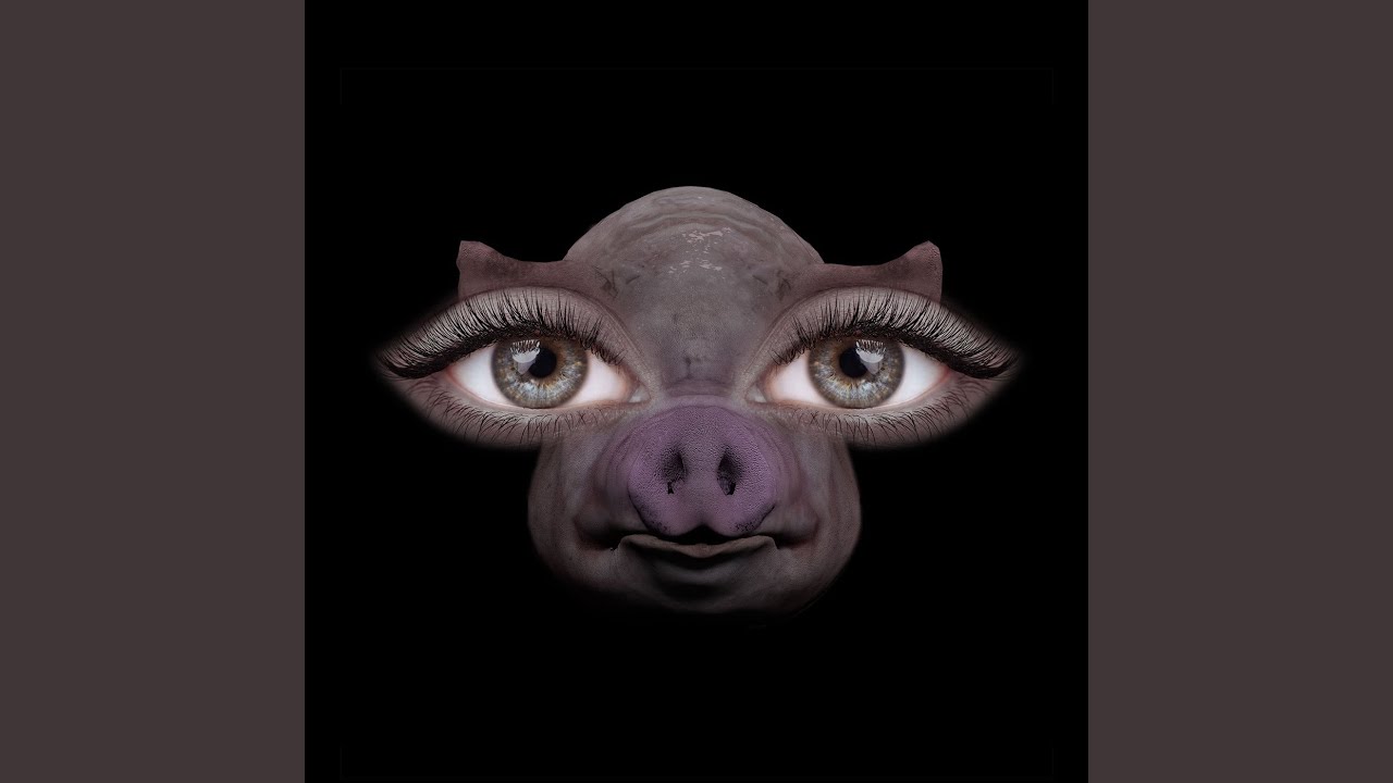 Us and Pigs