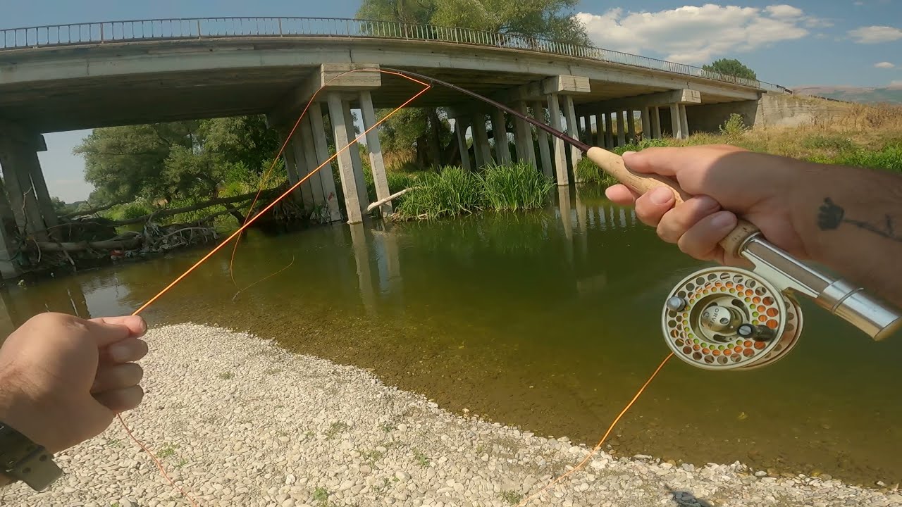 Мухарски риболов за кефали по време на жега / Fly fishing for chub during the heat